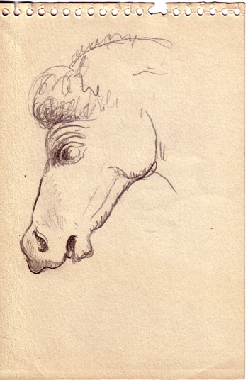 Horse Head