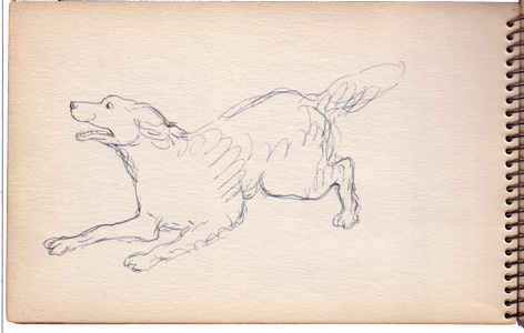 Running Dog