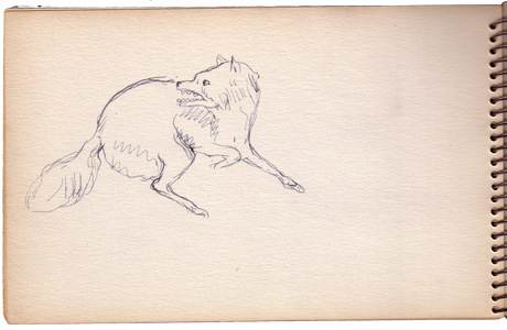 Snarling Dog