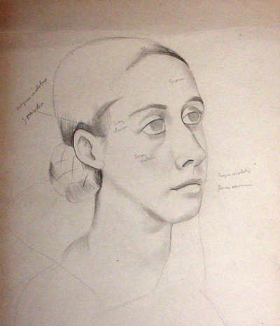 Study of a Woman's Head