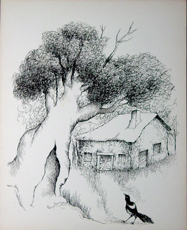 The Marywind's Tales