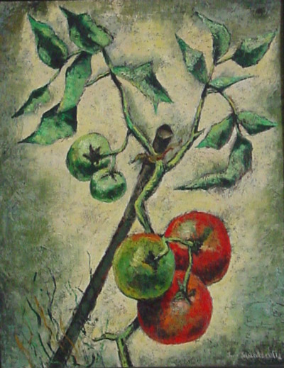 Tomato Plant