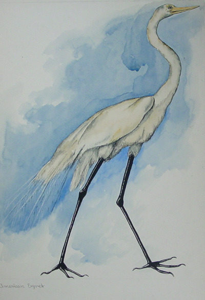 Egret