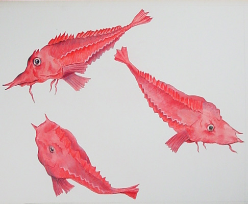 Red Fish
