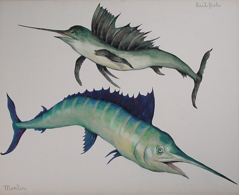 Marlin and Swordfish